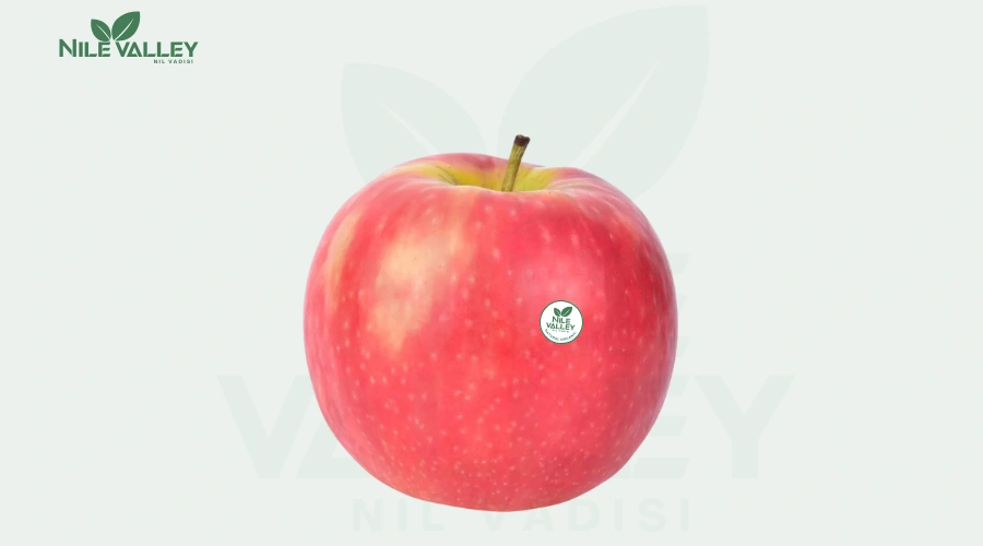 Red apple
